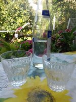 IMG_20230902_175549.jpg