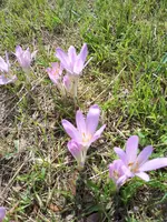 20230902_124533.webp