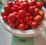 20230903_182121.webp