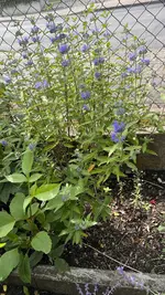 IMG_7988.webp