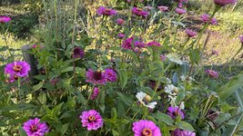 IMG_7944.jpeg