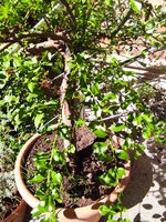 IMG_20230904_144654.jpg
