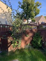IMG_6659.jpeg