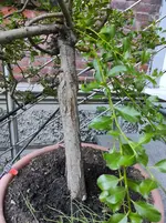 IMG_20230904_184107.webp