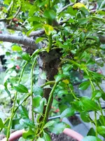 IMG_20230904_200016.webp