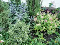 IMG_20230904_191442.webp