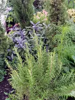 IMG_20230904_191619.webp