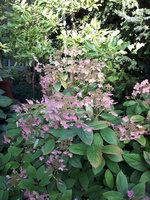 20230905_080103.jpg