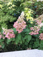 20230905_080055.jpg