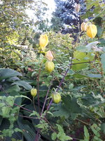 20230905_080135.jpg
