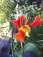 20230904_134803.webp