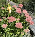 60B70D11-F1C8-40DF-9391-D39C3F11CCB6.jpeg