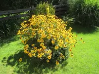 IMG_6364.webp