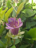 IMG_20230905_103643.jpg
