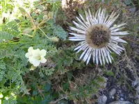 IMG_20230905_104206_1.webp
