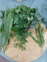 IMG_20230905_183746.webp