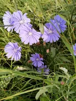 IMG_20230828_083301.webp