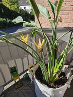 20230906_170138.jpg