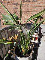 20230906_170028.jpg