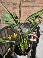 20230906_170028.webp