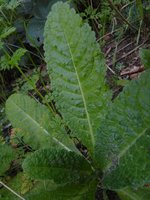 IMG_20230906_192054.jpg