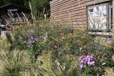 IMG_8560.JPG