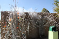 IMG_8568.JPG