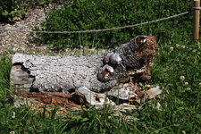 IMG_8583.JPG