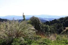 IMG_8586.JPG