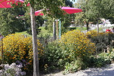 IMG_8588.JPG