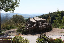 IMG_8589.JPG