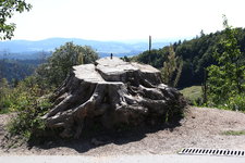 IMG_8590.JPG