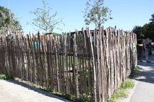 IMG_8594.JPG