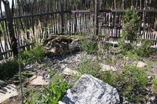 IMG_8597.JPG