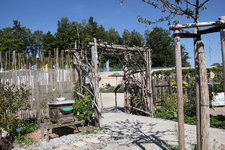 IMG_8599.JPG