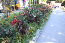 IMG_8602.JPG
