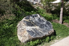 IMG_8617.JPG