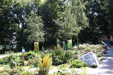 IMG_8624.JPG