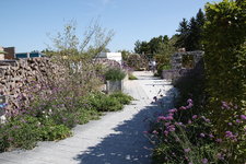 IMG_8625.JPG