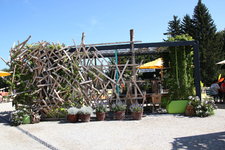 IMG_8629.JPG