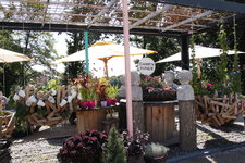 IMG_8630.JPG