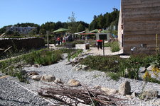 IMG_8635.JPG