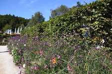 IMG_8644.JPG