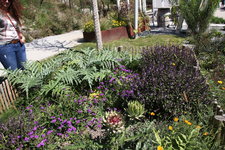 IMG_8647.JPG
