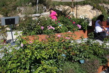 IMG_8649.JPG