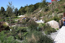 IMG_8652.JPG