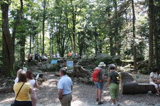 IMG_8670.JPG