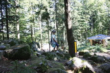 IMG_8678.JPG