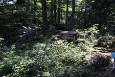 IMG_8684.JPG