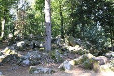 IMG_8685.JPG